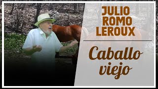 Julio Romo Leroux  Caballo viejo 🎸 ThTv Music 🎸 [upl. by Luben74]