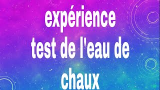 Le dioxyde de carbone est soluble dans leau Expérience pour le prouverExtraction du gaz du Coca [upl. by Ahsirtap170]