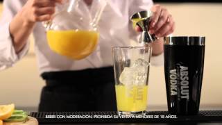 ABSOLUT BAR  Absolut Mandrin Oranjiniha [upl. by Baird]