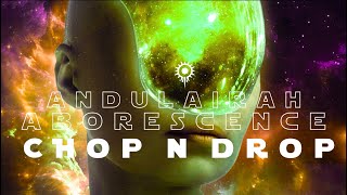 ANDULAIRAH Arborescence CHOP N DROP REMIX  Electronica Slowed amp Reverbed [upl. by Brittaney933]