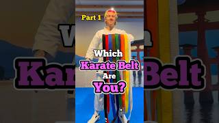 Karate Belts shorts [upl. by Nonregla88]