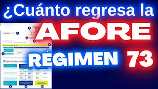 ¿Cuánto Regresa la Afore a Régimen 73 [upl. by Alym]