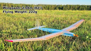 Lanarius RC motor glider Slow flyer build [upl. by Ailekahs]