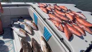 Coastal Saltwater Deep Sea Charter Fishing for Mangrove Snapper off of St Simons and Sea Island Ga [upl. by Gathers]