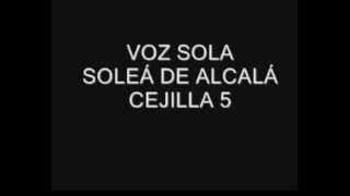 VOZ SOLA SOLEÁ DE ALCALÁ [upl. by Painter]