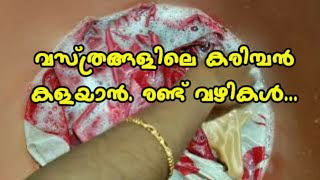 വസ്ത്രങ്ങളിലെ കരിമ്പൻ കളയാൻ എളുപ്പ മാർഗം how to remove karimban [upl. by Drexler792]