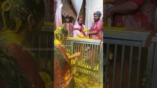 Julam Kar Daaryo vrindavan radhavallabh holi [upl. by Danna]