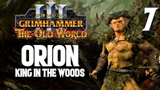 Remembering Quests  Orion 7  The Old World Campaign  SFO Grimhammer 3 [upl. by Adraynek451]