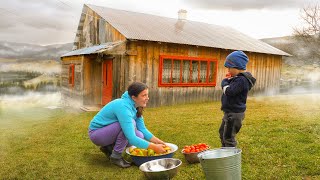 Living Off the Grid How a Big Family Finds Happiness in the Mountains [upl. by Ybsorc]