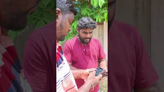 Pangu pirikringalo pangu🤣  Twist Iruku ytshorts shorts comedy tamilcomedy YB friends cheat [upl. by Zilber543]