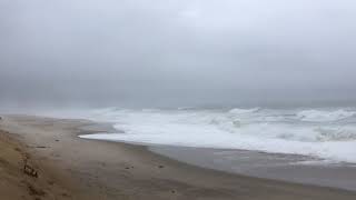 Nauset Beach Orleans [upl. by Nothgiel]