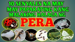 10 SAMPUNG SENYALES NA MAY PAPARATING KANG MALAKING HALAGA NG PERA MILYONES TALAGA [upl. by Enyrb]