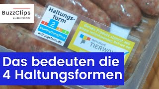 Tierwohl Das bedeuten die vier Haltungsformen [upl. by Jesher]