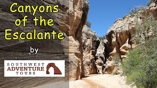 Canyons of the Escalante [upl. by Gaudet]