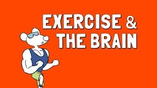 Exercise and the Brain [upl. by Yelhak892]