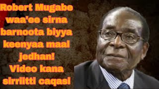 Jechoota ajaaibaa President Robert Mugabe robert mugabe story viralvideo [upl. by Suiradal375]