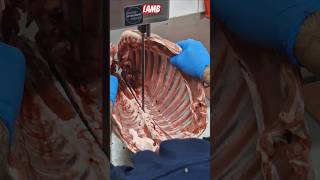 lamb everfreshbutchers lamb foodie food meat foryou mrbutcher1 short halal viral fyp [upl. by Zrike542]