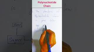 Structure of polynucleotide chain [upl. by Nahshon278]