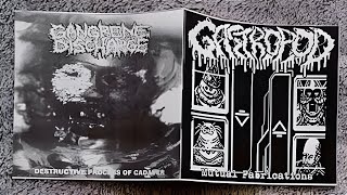 Gangrene Discharge  Gastropod FULL Split 2022 Goregrind  Mincecore [upl. by Hackett]