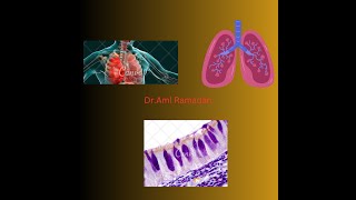 Trachea Bronchi and Bronchioles [upl. by Aleekahs]