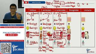 Infectología  Parásitos parte 02  Qx medic [upl. by Notpmah]
