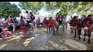 PASEO DE CABALLOS FERIA DE SEVILLA 2024 [upl. by Midge]