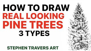 How to Draw a Realistic Pine Tree [upl. by Sugihara]