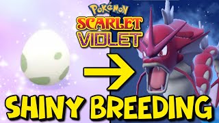 How To Shiny Hunt Using The Masuda Method in Pokemon Scarlet amp Violet Easy Shiny Breeding Guide [upl. by Kerman]