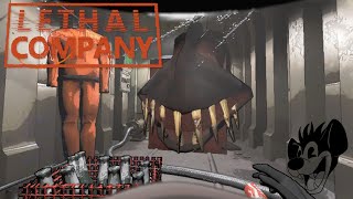 It All Goes Wrong  Lethal Company [upl. by Einama]