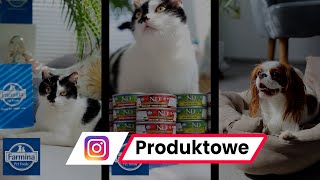 Rolki produktowe  NoToKoty  Instagram Reels [upl. by Enomsed997]