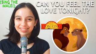 Can You Feel The Love Tonight Nalas Part Only  Karaoke  The Lion King [upl. by Sadnalor]