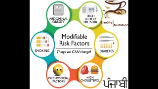 Risk factors for CVD  Punjabi Erudite Nutrition [upl. by Jaquenetta]