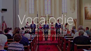 GP da Palestrina Jesu Rex admirabilis Live [upl. by Tatiana]