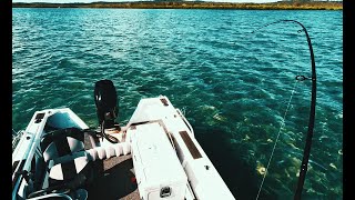 Hervey Bay  Fraser Island  FISHING for MONSTER FLATHEAD [upl. by Delmore758]