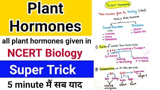 All plant hormones learn within 5 minutes  Super trickmnemonic  NEET CBSE Board [upl. by Revert]