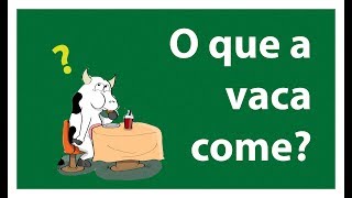 5  Nutrição de ruminantes [upl. by Settera144]