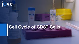 FC based Assay to Analyse Cell Cycle of Antigen Specific CD8T Cells  Protocol Preview [upl. by Carpio]