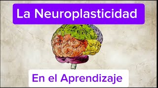 Neuroplasticidad en el aprendizaje [upl. by Yatzeck709]