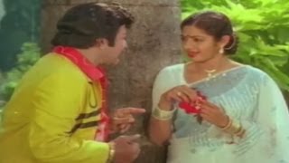 Gaja Dongaగజదొంగ Telugu Movie Songs  Alla Neredu Chettu Kaada Video Song  NTR  Sridevi  TVNXT [upl. by Afton]