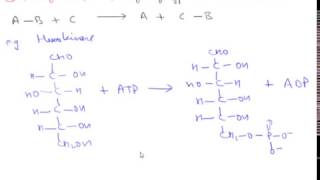 Enzyme Classification Hindi [upl. by Nilhsa]