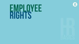 HR Basics Employee Rights [upl. by Sollows]