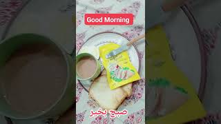 Bismillah Karan  Good Morning aamirandsonsvlogs aamirishaqonline goodmorning [upl. by Lahcim]