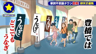 【豊橋市】どこでもうなぎがあたりまえ？！【愛知あたりまえ】 [upl. by Einaeg49]