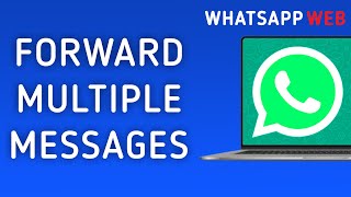 Learn All About the Forwarded Message Indicator  WhatsApp [upl. by Ellednahc]