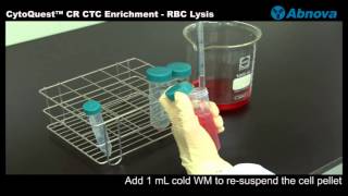 CytoQuest™ CR CTC Enrichment  RBC Lysis [upl. by Drofla520]