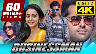 Businessman  बिजनेसमैन 4K ULTRA HD Superhit Full Movie  Ram Pothineni Rakul Preet Singh [upl. by Ahtael210]