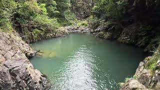 Cossey gorge Track from Cosseys Dam to Hunua Falls [upl. by Eynahpets]