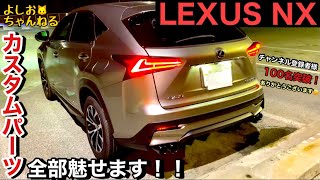 【レクサス】カスタムパーツ全部魅せ！コイツぁイカツイぜ！【NX】 [upl. by Fiske]