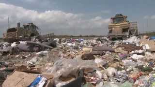 Tossed Out Food Waste in America [upl. by China]