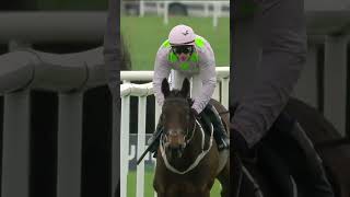 Gaelic Warrior  Champion Chase or Ryanair this season horse horseracing britishhorseracing [upl. by Nilyarg]